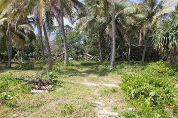 Alofa Beach Bungalows Lénakel 외부 사진